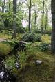 Japanse tuin 77