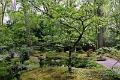 Japanse tuin 79