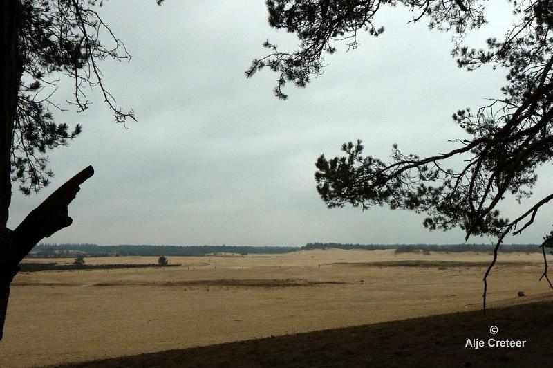 Loonse duinen   1.jpg - Loonse en Drunense duinen 2018