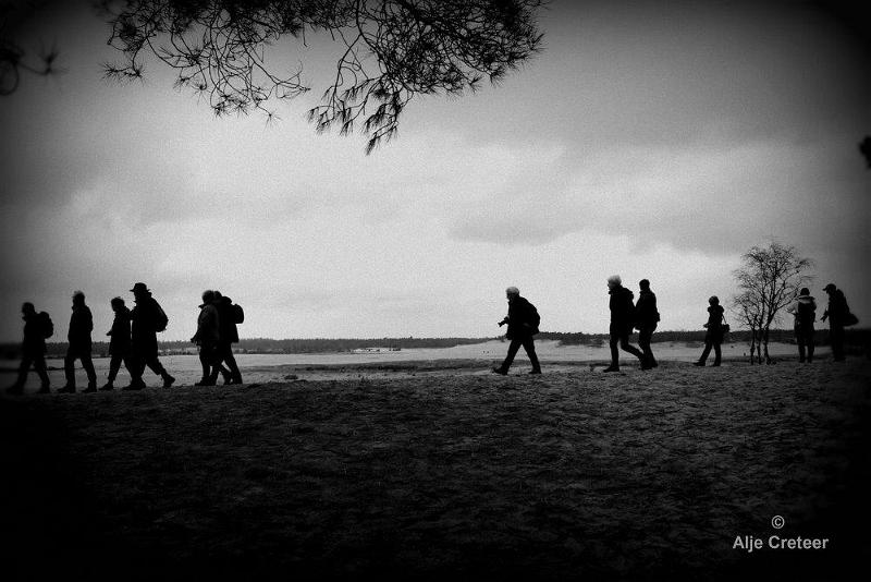 Loonse duinen   30.jpg - Loonse en Drunense duinen 2018
