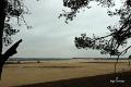 Loonse duinen   1