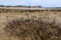 Loonse duinen   21