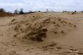 Loonse duinen   25