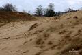 Loonse duinen   26
