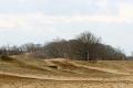 Loonse duinen   28