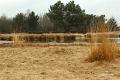 Loonse duinen   8