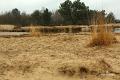 Loonse duinen   9