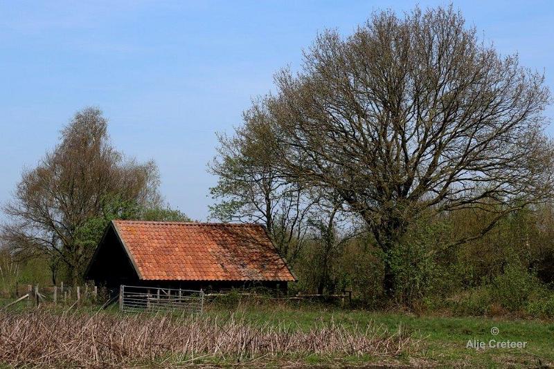 Peelexcursie Fotografie 18 April 2018   04.jpg - Peel excursie 2018