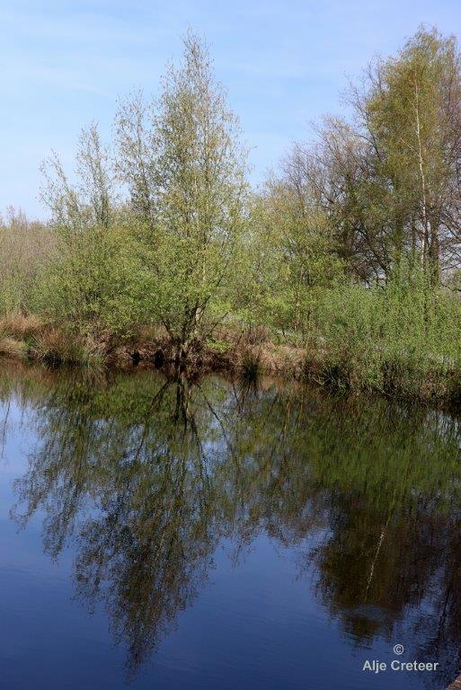 Peelexcursie Fotografie 18 April 2018   07.jpg - Peel excursie 2018