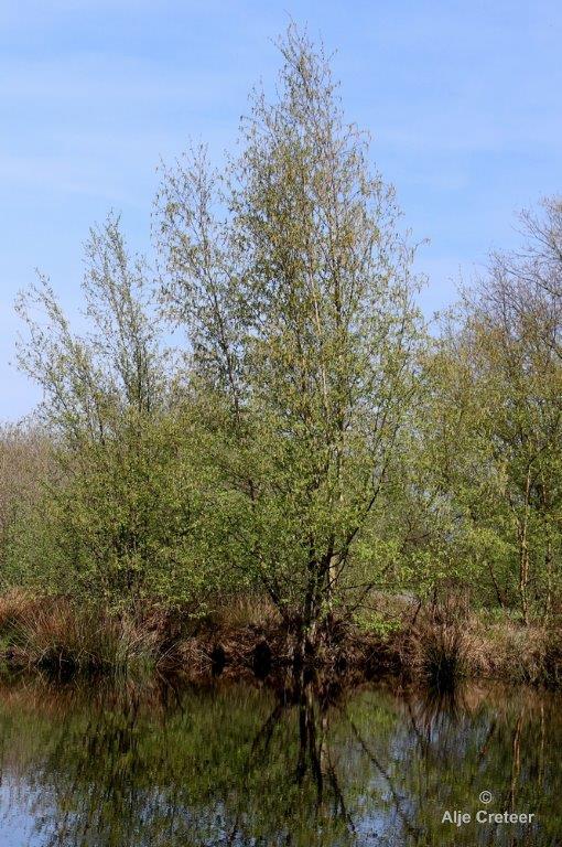 Peelexcursie Fotografie 18 April 2018   08.jpg - Peel excursie 2018