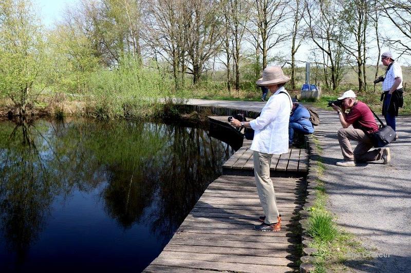 Peelexcursie Fotografie 18 April 2018   09.jpg - Peel excursie 2018