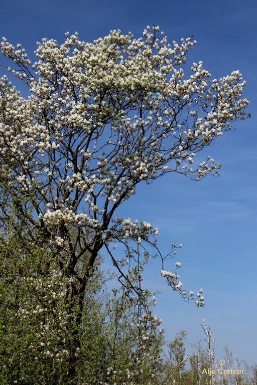Peelexcursie Fotografie 18 April 2018   12.jpg - Peel excursie 2018