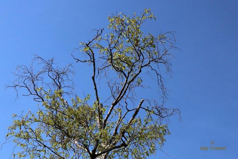 Peelexcursie Fotografie 18 April 2018   20.jpg - Peel excursie 2018
