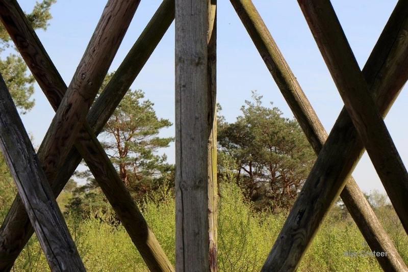 Peelexcursie Fotografie 18 April 2018   29.jpg - Peel excursie 2018