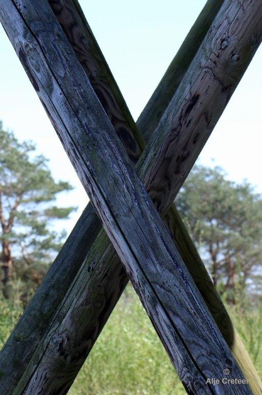 Peelexcursie Fotografie 18 April 2018   30.jpg - Peel excursie 2018