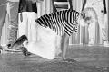 Hip Hop Dansen 5 Juni 2019 40