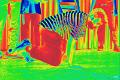 Hip Hop Dansen 5 Juni 2019 41