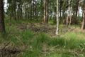 bdDroogte in Brabant 2019 29