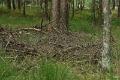 bdDroogte in Brabant 2019 31