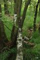 bdDroogte in Brabant 2019 47