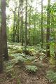 bdwandeling Leudal  5