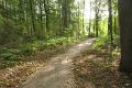 bdwandeling Leudal  6