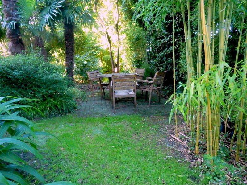 bdBamboetuin 40.JPG - Bamboetuin 2022