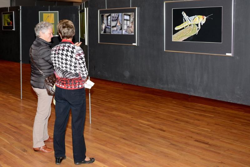 expo118.JPG - Expositie 2014 bezoekers
