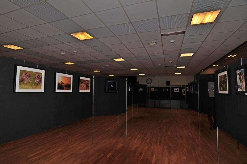 expo35.JPG - Expositie 2014 overzicht
