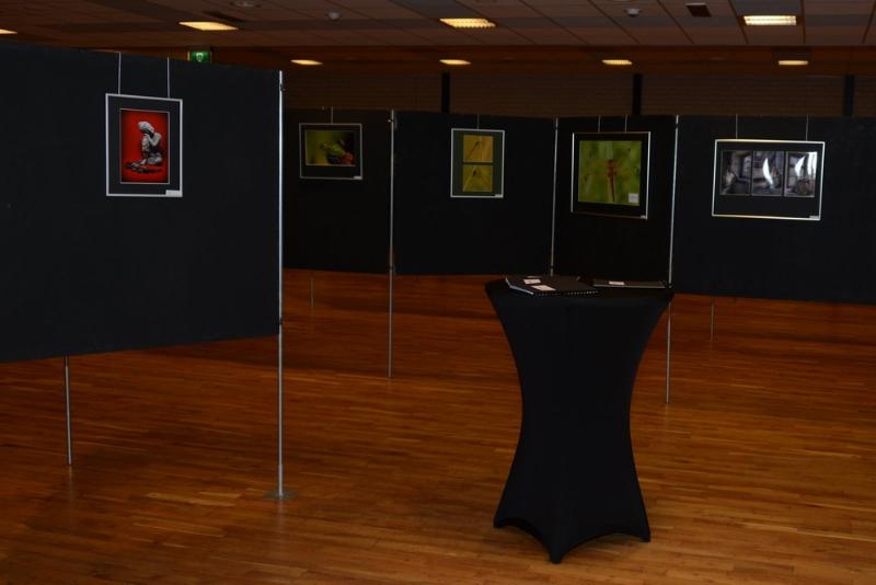 expo37.JPG - Expositie 2014 overzicht