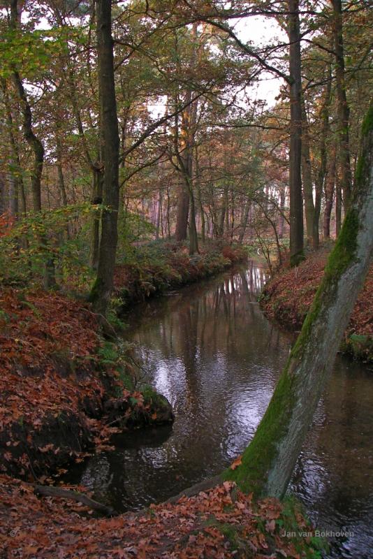 jan3.JPG - Jan natuur landschap