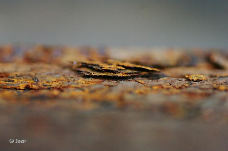 joep5.jpg - Joep extreme macro