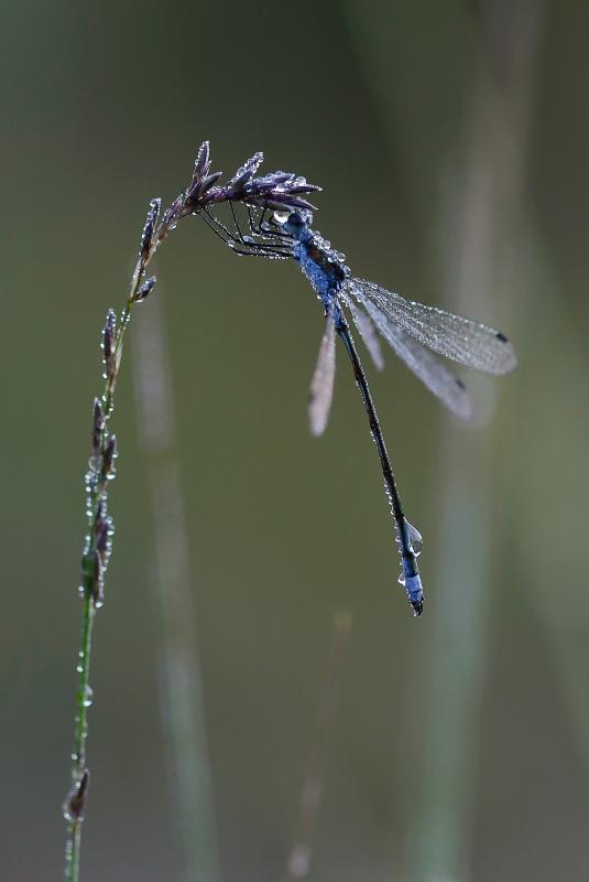 ton4.jpg - Ton Natuur