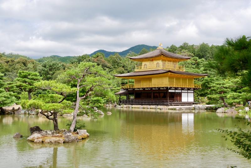 Dimphy2.jpg - Dimphy Japan