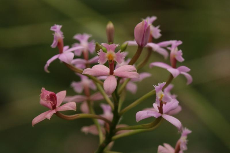 alje4.JPG - Alje Bloemen