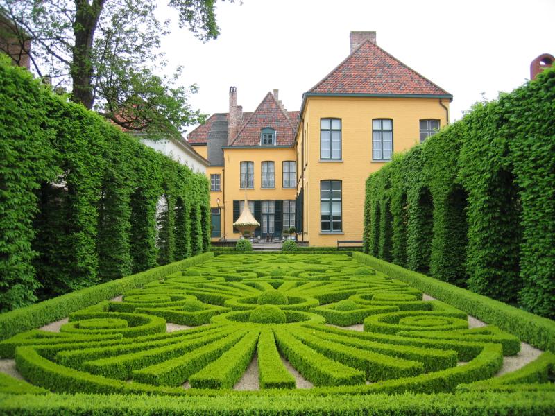 frans1.JPG - Frans Natuur