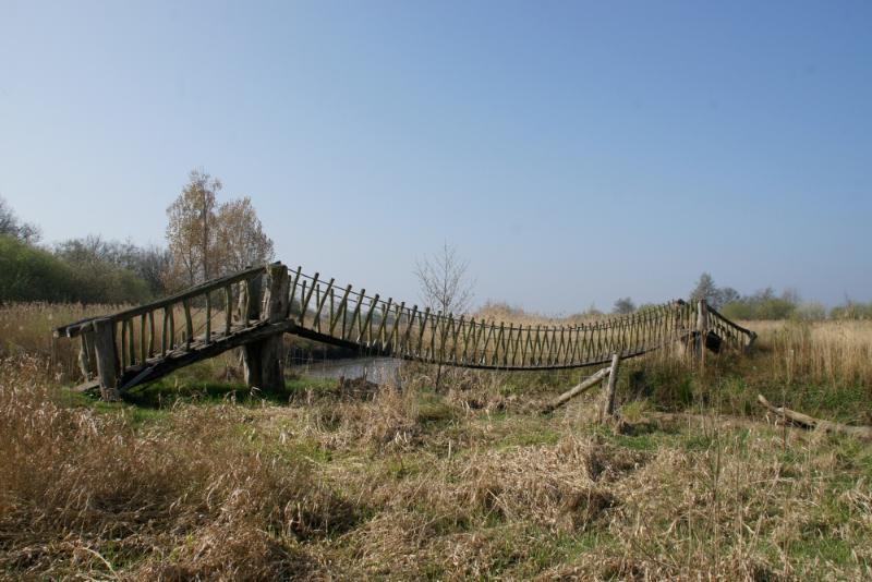 jan2.JPG - Jan Brugge