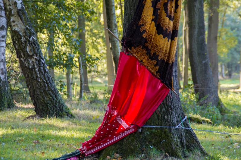riek2.jpg - Riek Kunst in de natuur