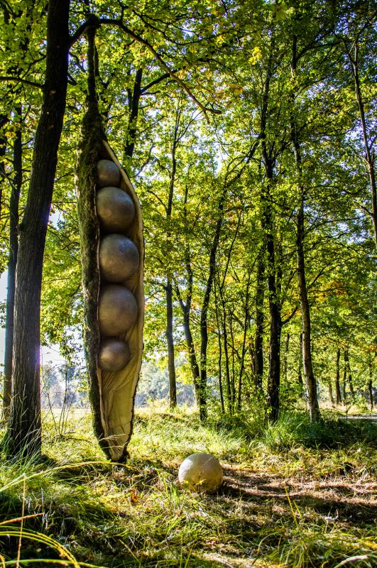 riek4.jpg - Riek Kunst in de natuur