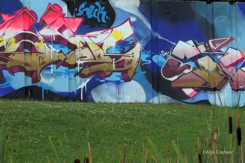 2.jpg - Graffiti Berenkuil EHV