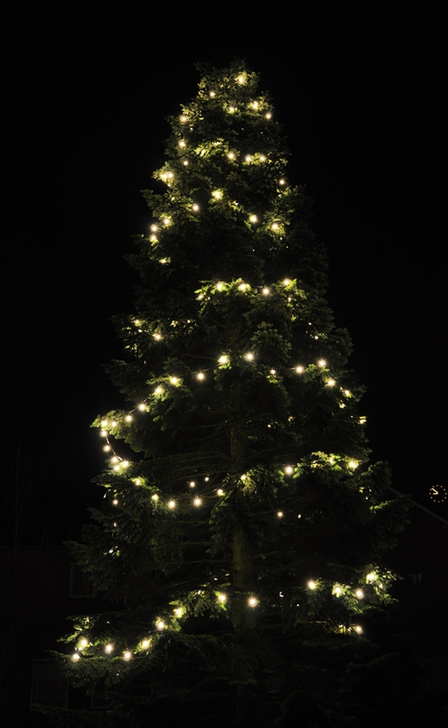 10ketting2.JPG - 2.10 Elly motivatie:  in een grote tuin van het kasteel kan een verlichte boom een beetje vrolijkheid brengen, zeker nu  rond die sombere dagen voor kerstmis. Daarom mijn kerstboom