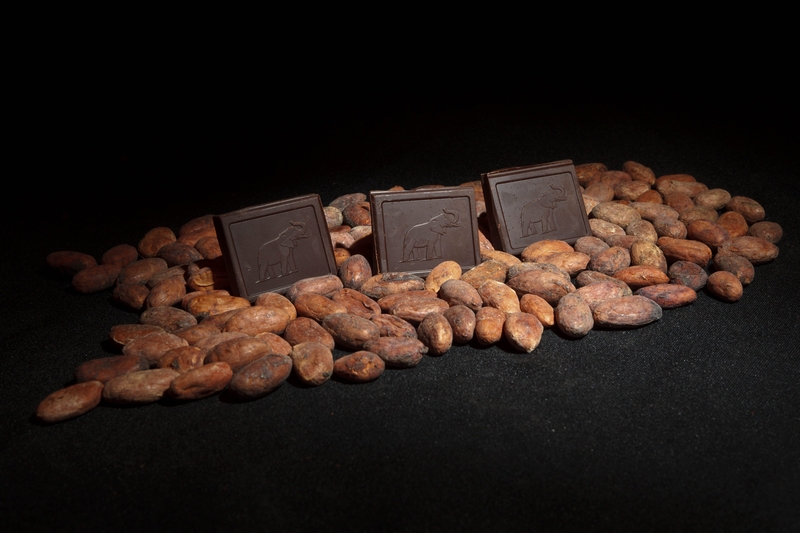 17ketting2.JPG - 2.17 Erik G. motivatie: Olifant, Slurf, Rolo, Chocolade, Chocolade OlifantCote D'or Olifanten op een weg bestraat met cacao bonen.