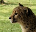 DSC01116kopie