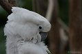 DSC01783