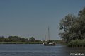 Biesbosch