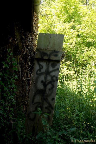 DSC08041.JPG - Doel, België
