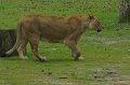 DSC06886