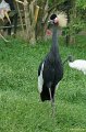 DSC07010