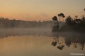 DSC06319