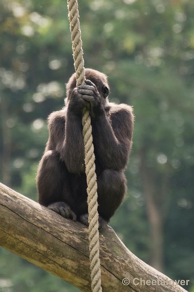 _DSC1893.JPG - Gaiapark"Nee...ik wil niet op de foto"